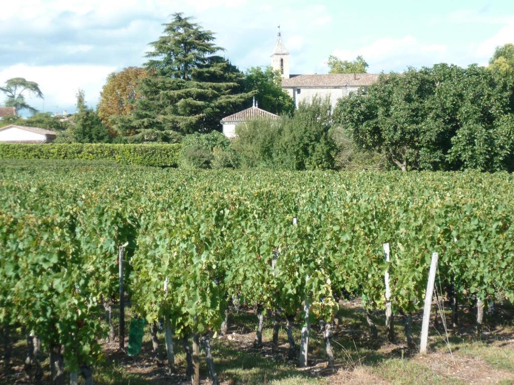Bed and Breakfast Les Raisins Du Bonheur Puisseguin Exterior foto